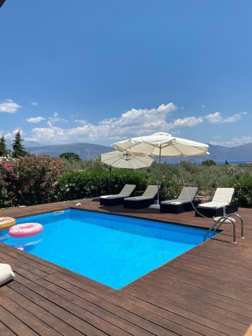 Georges Villa Galaxidi, Family, Pool And Garden Exterior foto