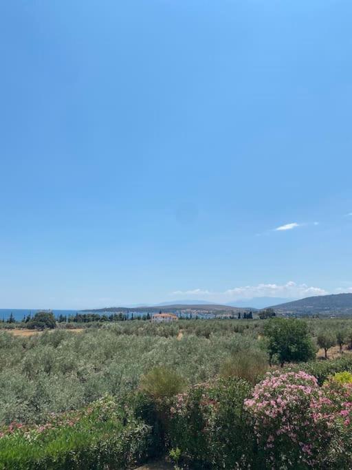 Georges Villa Galaxidi, Family, Pool And Garden Exterior foto