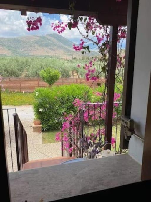 Georges Villa Galaxidi, Family, Pool And Garden Exterior foto
