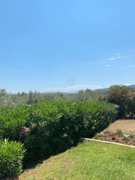 Georges Villa Galaxidi, Family, Pool And Garden Exterior foto